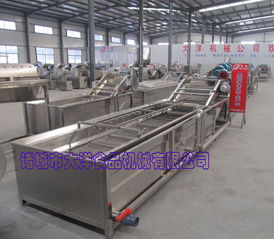 大洋牌气泡式果蔬清洗机 专为桑葚设计的机械设备研发创新